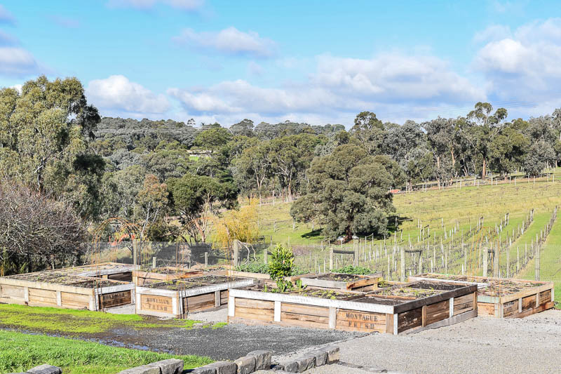 The Farm Yarra Valley: A New Event Space