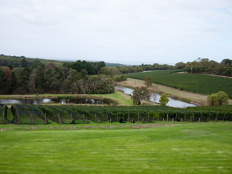 Port Philip Estate. Mornington Peninsula Beer and Wine