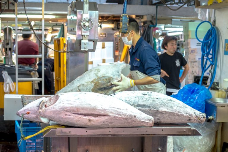 Tokyo: Tsukiji Fish Market