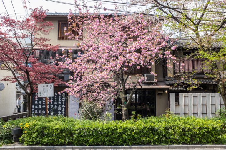 Wandering The Streets Of Kyoto