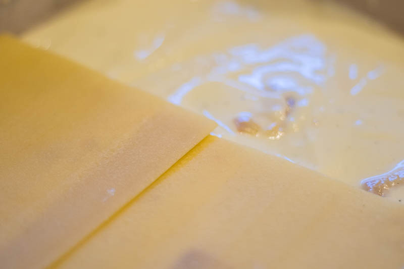 mac cheese lasagne recipe