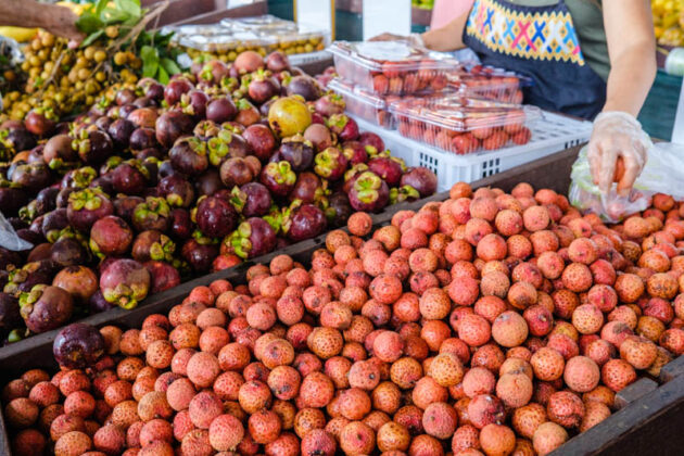 rusty's markets cairns city