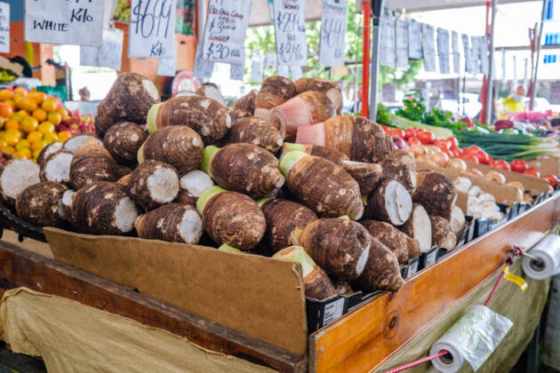 rusty's markets cairns city