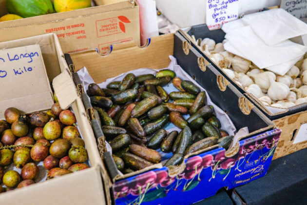 rusty's markets cairns city