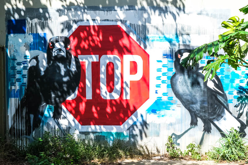 newtown street art guide sydney