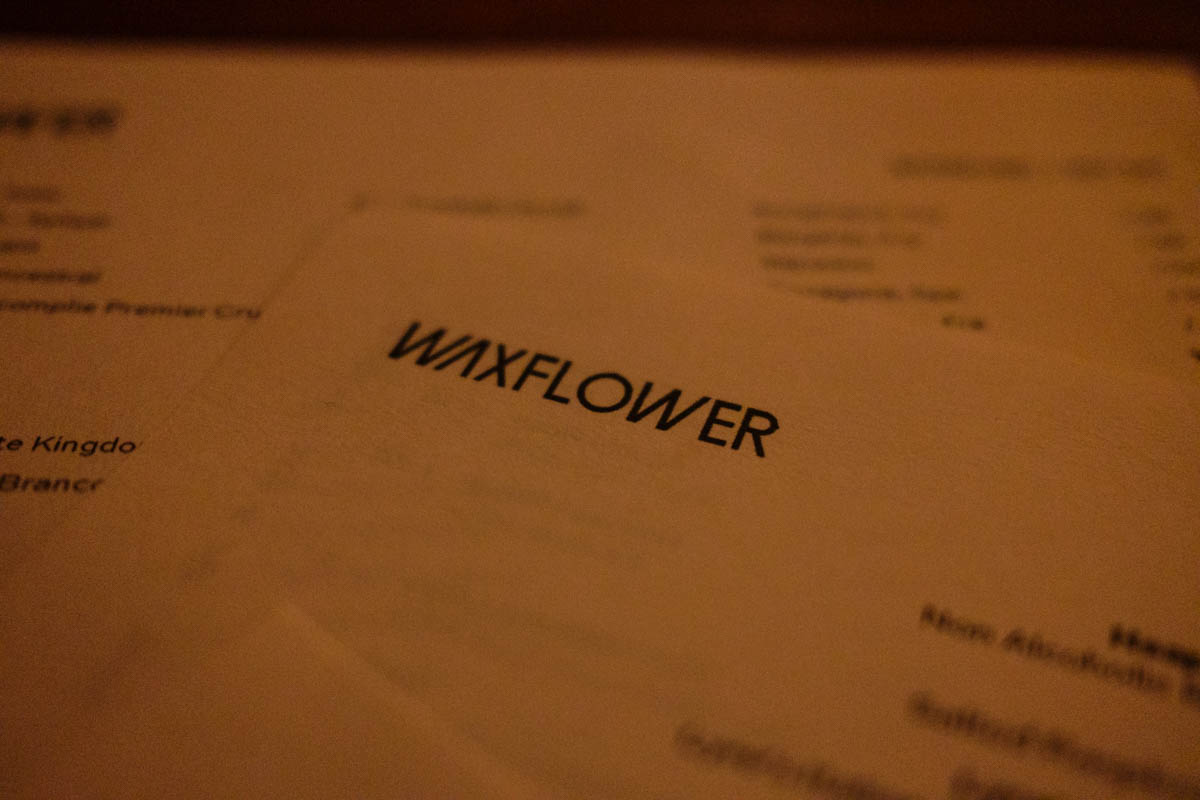 waxflower brunswick