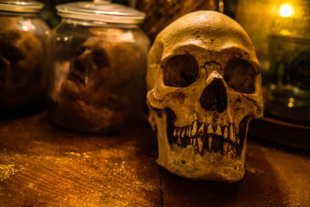 skull and crown trading co. chinatown