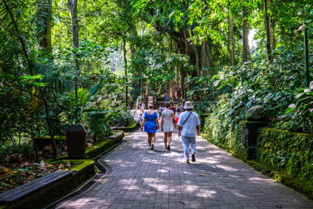 48 hours in ubud things to do