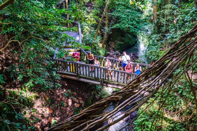 48 hours in ubud things to do