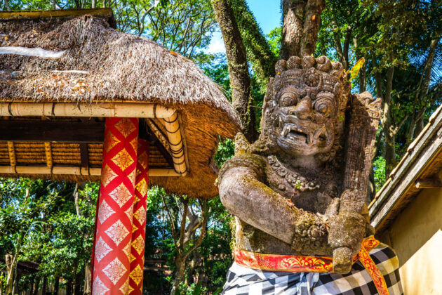 48 hours in ubud things to do