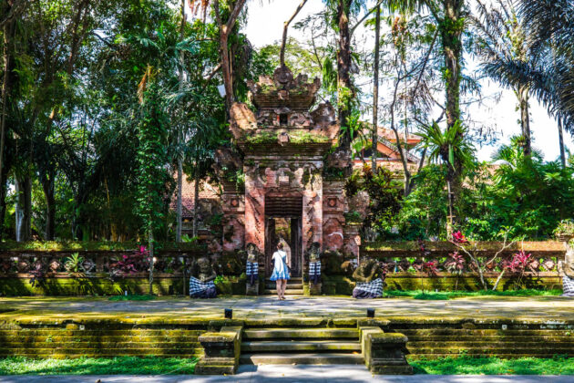 48 hours in ubud things to do