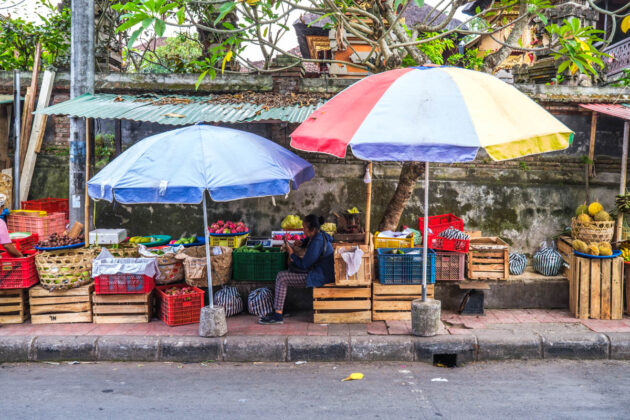 48 hours in ubud things to do