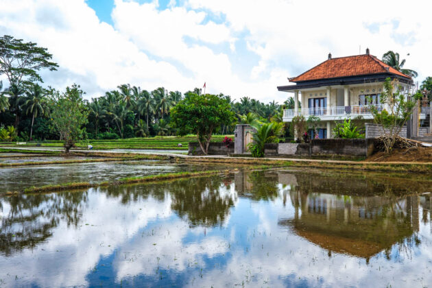 48 hours in ubud things to do