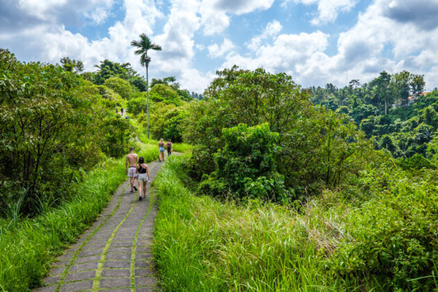 48 hours in ubud things to do