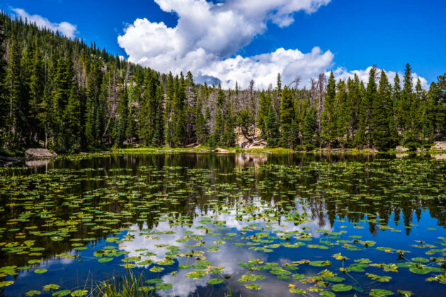 a weekend in rocky mountain national park