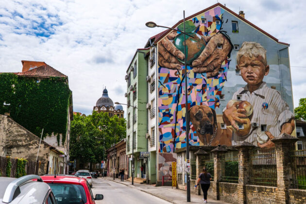novi sad things to do
