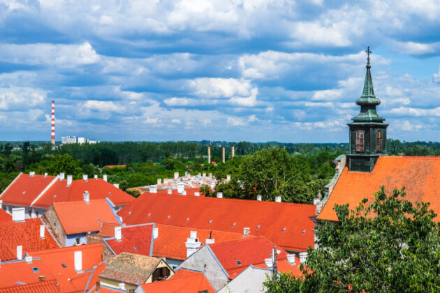 novi sad things to do